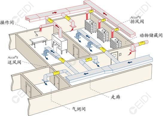動(dòng)物房潔凈室空調(diào)設(shè)計(jì)：開放式籠架具屏障環(huán)境送回風(fēng)設(shè)計(jì)要點(diǎn)  CEIDI西遞